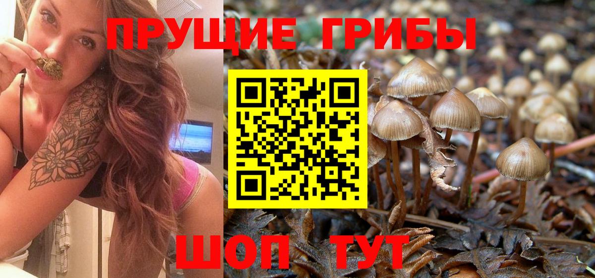 Галлюциногенные грибы Psilocybe  Вход с VPN  Ртищево  Галлюциногенные грибы MAGIC MUSHROOMS 